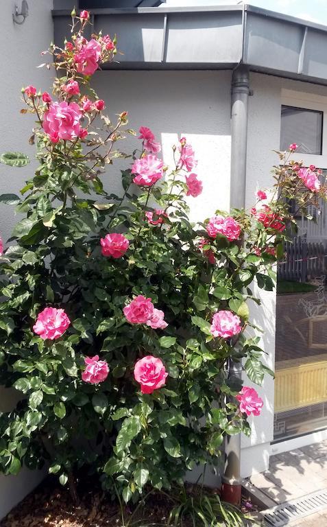 安姆毕恩特酒店 利希 外观 照片